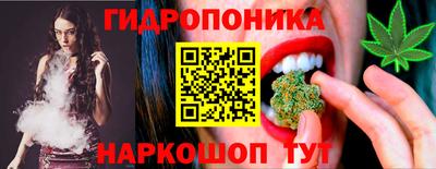 индика Кунгур