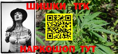 индика Кунгур