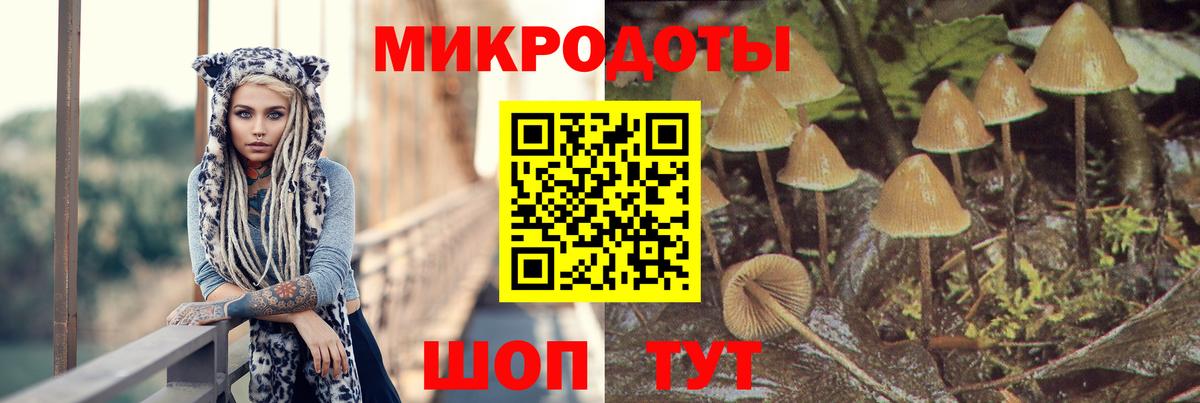 Галлюциногенные грибы ЛСД  Вход с VPN  где найти   Карпинск 
