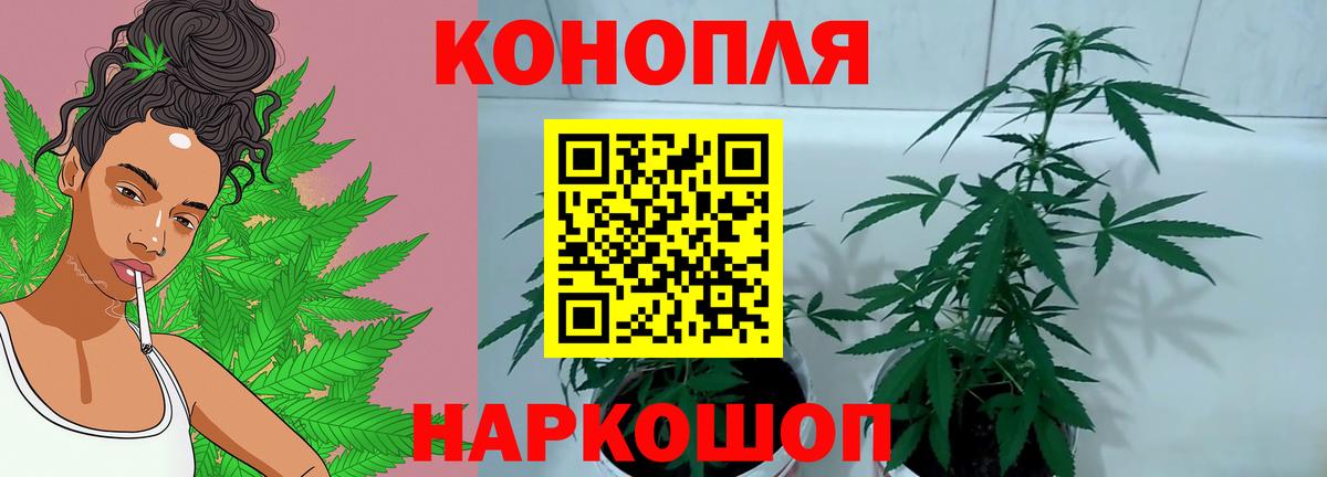 Бошки Шишки тримм Карпинск